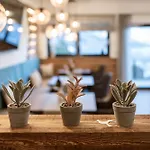 Appart hôtel Gluecksmoment Goetschlhof